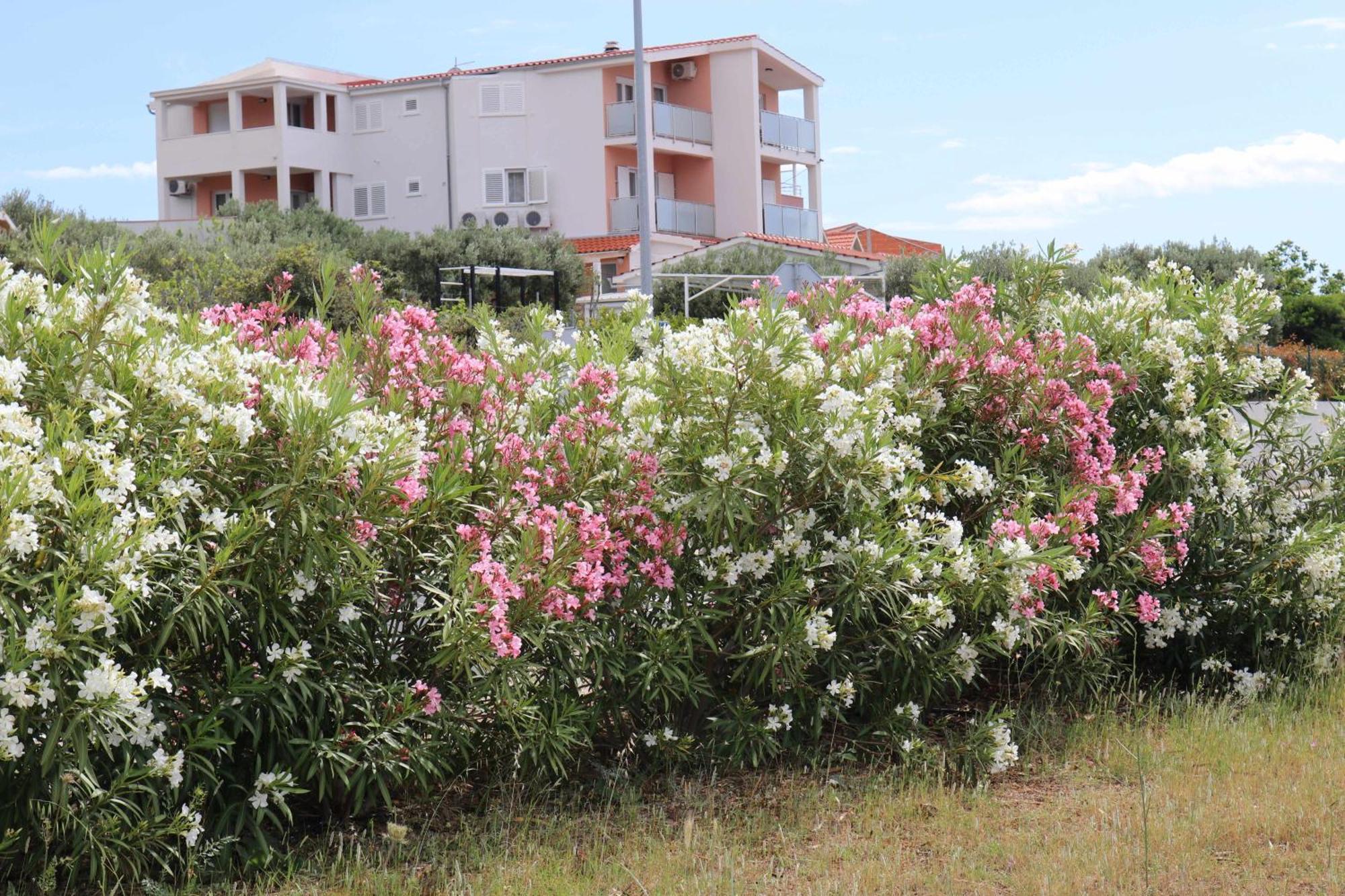 Apartmani Bilokapic Primošten Dış mekan fotoğraf