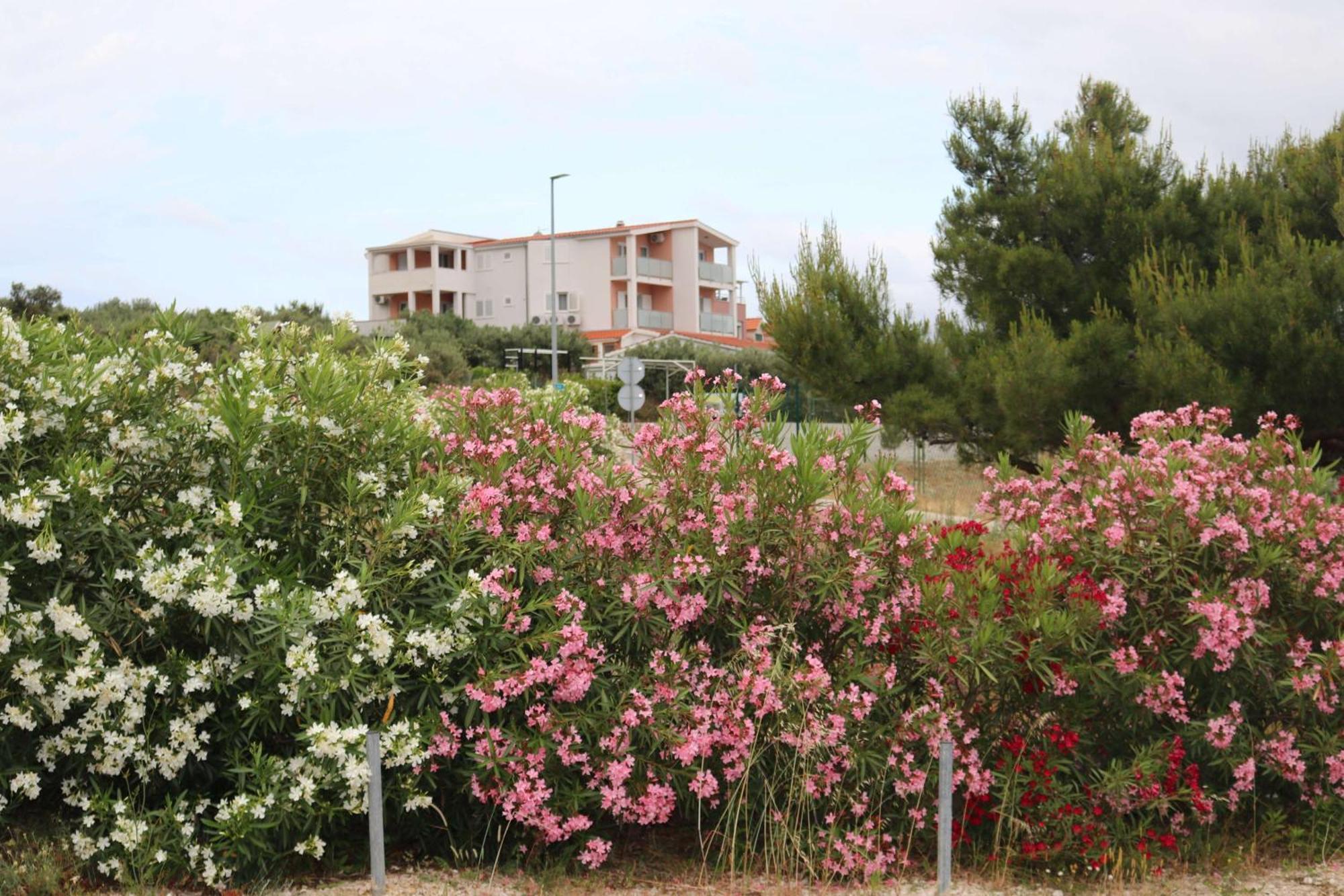 Apartmani Bilokapic Primošten Dış mekan fotoğraf